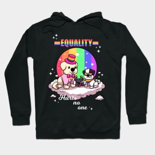 Equality Hurts No One Hoodie